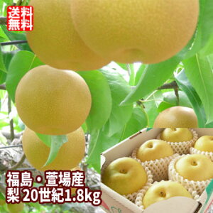 20���I �� �Ȃ� ��1.8kg�i4�`7�ʓ��j�y���������F9����{���`9�����{���܂ŗ\��z ���� ����� ���� �t���[�c �ʕ� �M�t�g �v���[���g ���� �������� ��j ���j ��y�Y ������ �O����