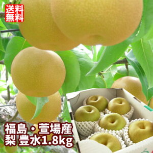 �L�� �� �Ȃ� ��1.8kg�i4�`7�ʓ��j�y���������F9�����{���`���{���܂ŗ\��z ���� ����� ���� �t���[�c �ʕ� �M�t�g �v���[���g ���� �������� ��j ���j ��y�Y ������ �O����