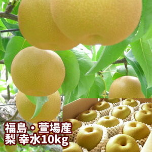 �K�� �� �Ȃ� ��10kg�i18�`36�ʓ��j�y���������F8�����{���`9�����{���܂ŗ\��z ���� ����� ���� �t���[�c �ʕ� �M�t�g �v���[���g ���� �������� ��j ���j ��y�Y ������ �O����