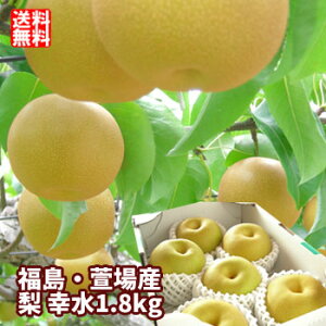 �K�� �� �Ȃ� ��1.8kg�i4�`7�ʓ��j�y���������F8�����{���`9�����{���܂ŗ\��z ���� ����� ���� �t���[�c �ʕ� �M�t�g �v���[���g ���� �������� ��j ���j ��y�Y ������ �O����