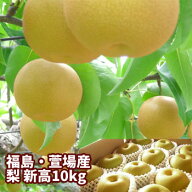 新高 梨 約10kg（12〜26玉入）【発送時期：10月上旬頃-10月下旬頃まで予定】 | 福島 かやば 萱場 フルー…