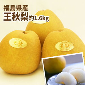 H  Ȃ 1.6kgi3`4ʓjyF12{`3{܂ŗ\z     t[c ʕ Mtg v[g   j j yY  O