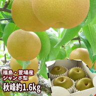 秋峰 梨 なし 約1.6kg（3～4玉入）【発送時期：12月上旬頃〜3月下旬頃まで予定】 福島 かやば 萱場 大玉 …