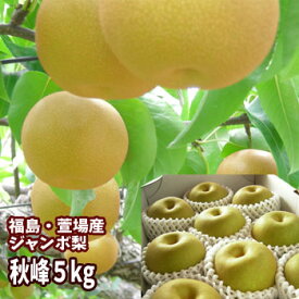 秋峰 梨 なし 約5kg（5〜12玉入） 【発送時期：12月上旬頃〜3月下旬頃まで予定】 福島 かやば 萱場 大玉 フルーツ 果物 ギフト プレゼント 贈答 送料無料 御祝 内祝 手土産 お取り寄せ グルメ 御歳暮 お歳暮 年末 年始