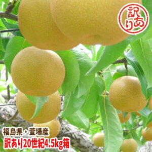 �y���ʌ���z�󂠂� 20���I �� �Ȃ� ��4.5kg�i8�`25�ʓ��j�s���� ������ �K�i�O�y���������F9����{���`9�����{���܂ŗ\��z ���� ����� ���� �t���[�c �ʕ� ���� �ƒ�p ��A�� ���� �H�i