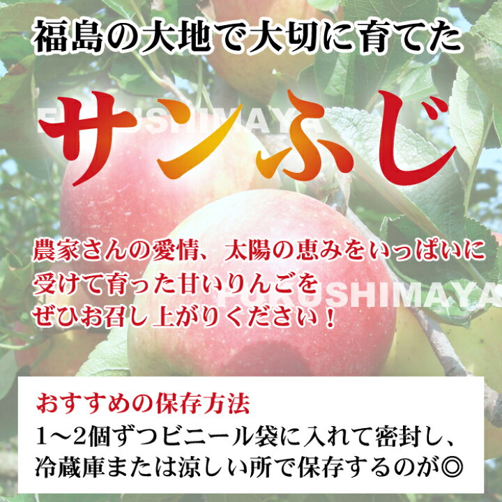 楽天市場 福島県産 サンふじ りんご 約9kg箱 24 50玉入 訳あり ご家庭用 リンゴ 大きさ 不揃い 傷 訳ありリンゴ 蜜 お得 傷あり キズあり おいしい 食品ロス こだわり横丁 ふくしまや
