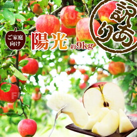 楽天市場 りんご 総重量 果物 9 00 9 99kg フルーツ 果物 食品 の通販