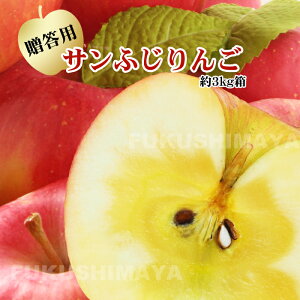 Tӂ  3kgi5`11ʓjyF11{`1{܂ŗ\z S  t[c ʕ Mtg v[g   j j N yY  O
