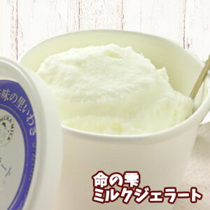 yYnz̎ ~N WF[gZbgi8Zbgj  s  ؑ~Nvg Mtg v[g 