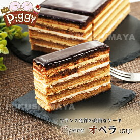 【送料無料】【冷凍便】オペラ（700g） チョコレート ケーキ スイーツ 濃厚 上品 大人 コーヒー エスプレッソ ラバッツァ ほろ苦い フランス ギフト プレゼント おうち時間 おうちカフェ ケーキ家Piggy 母の日