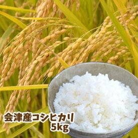 【令和5年産】会津産コシヒカリ(5kg)　産地直送　同梱不可 お米