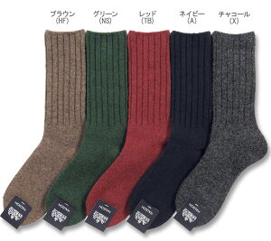 n\/HALISON/n\ \bNXEC m523102n(A NS TBnomiari)prуhi[ E[ n u\bNX i FM[ / ݁F / F j