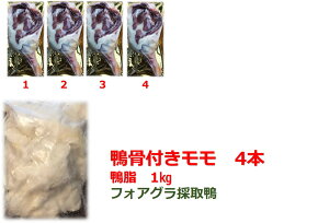 @nK[Y@t@200-290g 4{Ɗ@1L@RtB[Zbg