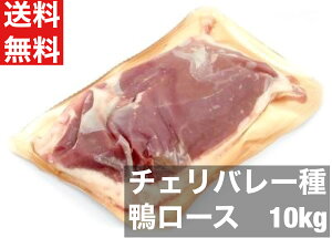 yznK[Y@@@[X 10kg tBhJi[ `Fo[ 200-300TCY@10kg @38`46@Ⓚ@@؂΁@Xe[L@@[Xg