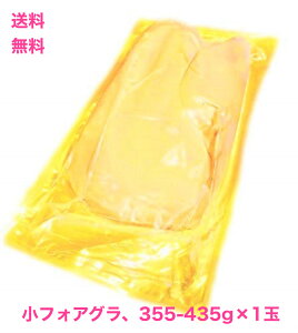 @tHAO h Ji[ 355-435TCY ۂ1ij@AO[h@LO@a@nK[Y