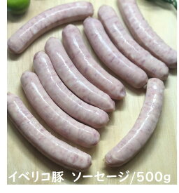 イベリコ豚入り　ソーセージ　500g　イベリコ豚　冷凍