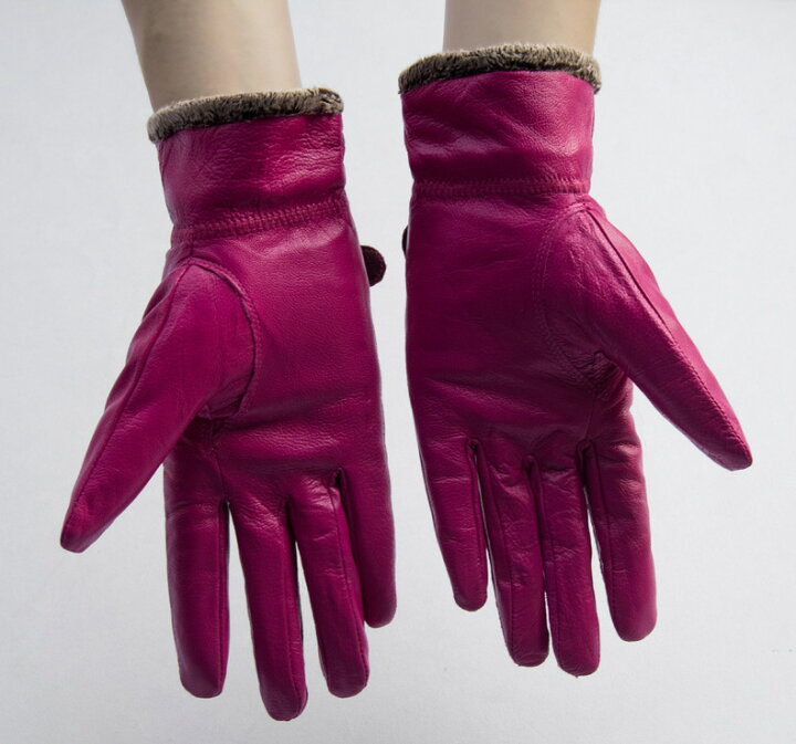 出荷 手袋 レディース 裏起毛 レース かわいい 暖かい おしゃれ グローブ あったかい 防寒 防風 女性用 上品 自転車 送料無料 保温 バイク 運転 通勤 Recomenda Co