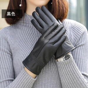 {v {vO[u fB[X 6F U[O[u g Nю h {A H~p ۉ ʊwp ʋ {A ]Ԏ oCNO[u TCNO[u  wlp