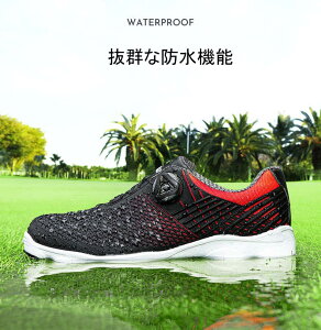 StV[Y XpCNe*2R+`t _C Y StXj[J[ \tgXpCN BOA R[Xp StC Xj[J[^Cv h St Golf shoes 