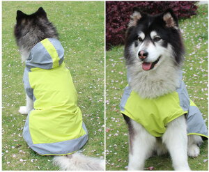 hbOCJo[ |` `pCEGA CWPbg ^p h h ybgpCEFA@CX[c@̂Up