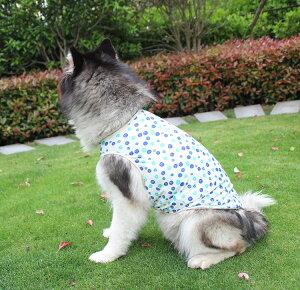 犬の服 ペットウェア 夏 ひんやり ドッグ洋服 薄手 タンクトップ ペット服 ペット用品 大型犬用 ワンチャン服 お散歩 ユニーク