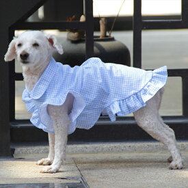 ドッグドレス ドッグウェア 犬服 犬の服 犬用 小型犬用 カジュアルドレス ドレス ワンピース チュール ストライプ柄 デニム ドット柄 キャミソール ジャンパースカート風 サロペット風フレア リボン ボタン 前開き アニマル柄