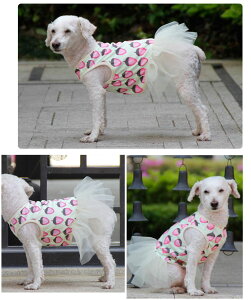 hbOhX hbOEFA  ̕ p ^p JWAhX hX s[X `[ XgCv fj hbg L~\[ Wp[XJ[g Tybgt