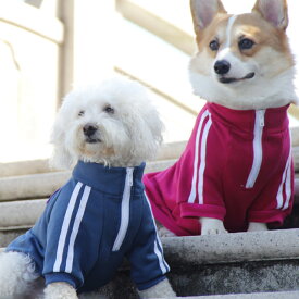 ワンちゃんTシャツ スポーツウエア ドッグ服 パジャマ 部屋着 犬服 ペット服 ドッグウェア 犬の服 春夏秋　抜け毛対策 ルームウェア おしゃれ かわいい 普段着