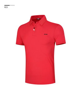 St| StVc |Vc |St Y ܂ | z hC| Vc StEGA ̓ ̓v[g Mtg  TVc gbvX Ă 