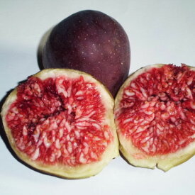 ●純国産●完熟高糖度2kg●皮付き丸ごと冷凍イチジク蓬莱柿500g×4個ジャムなど加工向き。1袋15〜20個入り