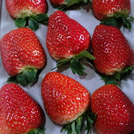 【岡山ブランド晴れ苺】化粧箱入り特秀9-15玉入り2箱セット（900-1000g）別途送料加算地域（北海道・沖縄990円・東北330円）