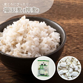 押麦 チャック付きレギュラータイプケース購入で1袋あたり約308円 国産大麦 選べる 容量 800g 1.6Kg 8Kg 押し麦 麦ごはん 麦ご飯 おしむぎ 麦とろ 大麦βグルカン 簡単 水洗い不要 国産 国内産 無添加 家庭用 業務用 お試し ケース