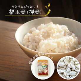 押麦 スタンドパック(使い切りスティックタイプ)ケース購入で1袋あたり約308円 国産大麦 選べる 容量 500g(50g×10袋) 5Kg(50g×10袋×10個）押し麦 麦ごはん 麦ご飯 おしむぎ 麦とろ 大麦βグルカン 簡単 水洗い不要 国産 国内産 無添加 個包装 家庭用 業務用 ケース