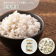 【スーパーSALE 30％OFF】胚芽押麦 500g×2袋 【送料無料 メール便】国産大麦 麦 麦ごはん 麦ご飯 麦とろ…