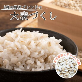大麦づくし 国産 チャック付きタイプ国産大麦 選べる 容量 300g 3kg 麦ごはん ブレンド 発芽大麦 美白な押麦 七分づき押麦 麦ご飯 麦とろ 食感 簡単 水洗い不要 混ぜるだけ 国内産 無添加 食物繊維 ギャバ 栄養 豊富 家庭用 業務用 お試し ケース