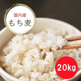 ★数量限定★ 国内産 もち麦 20kg 紙袋1kgあたり約406円 送料無料 国産大麦 麦ごはん 麦ご飯 麦とろ もちもち ぷちぷち 簡単 水洗い不要 国産 国内産 無添加 大麦βグルカン 栄養 豊富 食物繊維 業務用 大容量