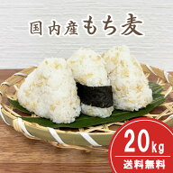 国内産 もち麦 小粒大麦 20kg 紙袋 送料無料 国産大麦 麦ごはん 麦ご飯 麦とろ もちもち ぷちぷち 簡単 …