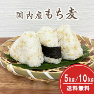 【スーパーSALE 10％OFF】【高レビュー★4.9】国内産 もち麦 令和7年産 小粒大麦 5kg / 10kg(5kg×2袋) …