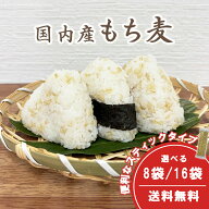 国内産 もち麦 令和7年産 便利なスティックタイプ 個包装 選べる50g×8袋 / 16袋 小粒大麦 国産大麦 麦ご…