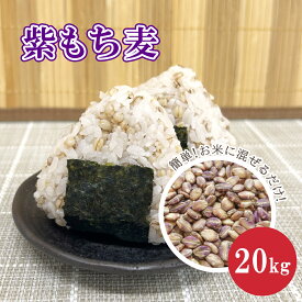 国内産 紫もち麦 ダイシモチ 20kg 紙袋1kgあたり約351円 もち麦 麦ごはん 麦ご飯 麦とろ もちもち ぷちぷち 簡単 水洗い不要 国産 雑穀 無添加 大麦βグルカン アントシアニン 栄養 豊富 食物繊維 業務用 大容量
