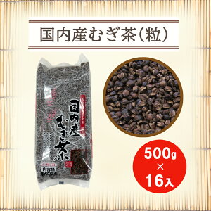 Yނ() 500g×y16zypP[X̔zyۗzmJtFC Z唞 Ϗo  Y Y  Y  e Ɩp p