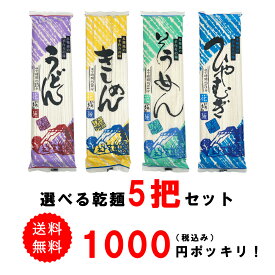 【1000円ポッキリ】4種（ うどん / きしめん / そうめん / ひやむぎ ）から選べる乾麺5把セット 送料無料 メール便 ギフト お試し 保存食 詰め合わせ 徳用 まとめ買い 国産 国内産 【日時指定不可・代引不可】