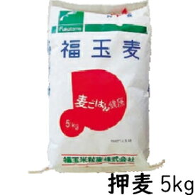 【業務用】押麦 国産大麦 5kg 押し麦 麦ごはん 麦ご飯 おしむぎ 大麦βグルカン