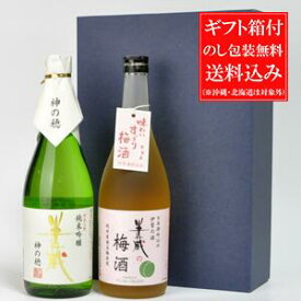 日本酒 飲み比べセット 送料込み（一部除く）半蔵 純米大吟醸 神の穂・半蔵の梅酒 720ml×2本ギフトセット 三重県 大田酒造 ギフト のし可能 日本酒 飲み比べセット 送料無料 日本酒セット 誕生日 プレゼント