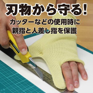 yFUKUTOKU YƁznCp[XL[2{wveN^[  L #248-L A~h Ǝ F {̂肵 ˂hh~ ϐؑn 4D v i ƌ n sȕ 