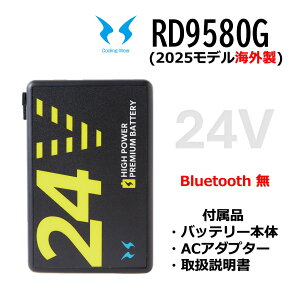 RD9580G �󒲕��_�� 24V �i�O���[�o�����[�x���j���`�E���C�I���o�b�e���[�Z�b�g(2025) �������� �d�l�F���`�E���C�I���o�b�e���[�Z�b�g GL-1 �Z�Z�b�g���e�F5�Z���o�b�e���[ AC�A�_�v�^�[�ZPSE�}