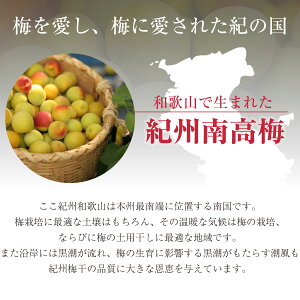 【敬老の日】送料無料梅干しはちみつ梅減塩国産ギフトプレゼント※北海道・沖縄を除くグルメ大賞受賞!最高級紀州はちみつ梅2種類のお味を選べる♪【当店一番人気!華結15粒入!】