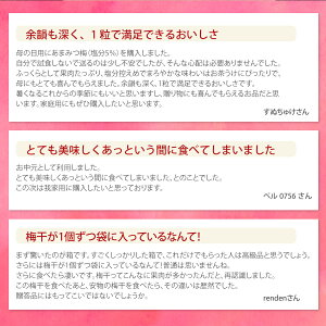 送料無料※北海道・沖縄を除く紀州南高梅はちみつ減塩贈答ギフト内祝い引っ越し祝い入学祝いお誕生日記念日御中元プレゼントに人気のギフト梅干!2種類のはちみつ梅から選択可能!華結(はなむすび)15粒入!