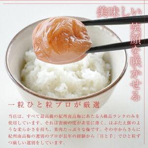送料無料※北海道・沖縄を除く紀州南高梅はちみつ減塩贈答ギフト内祝い引っ越し祝い入学祝いお誕生日記念日御中元プレゼントに人気のギフト梅干!2種類のはちみつ梅から選択可能!華結(はなむすび)15粒入!