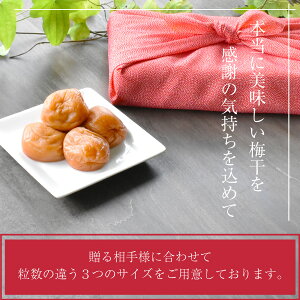 送料無料※北海道・沖縄を除く紀州南高梅はちみつ減塩贈答ギフト内祝い引っ越し祝い入学祝いお誕生日記念日御中元プレゼントに人気のギフト梅干!2種類のはちみつ梅から選択可能!華結(はなむすび)15粒入!